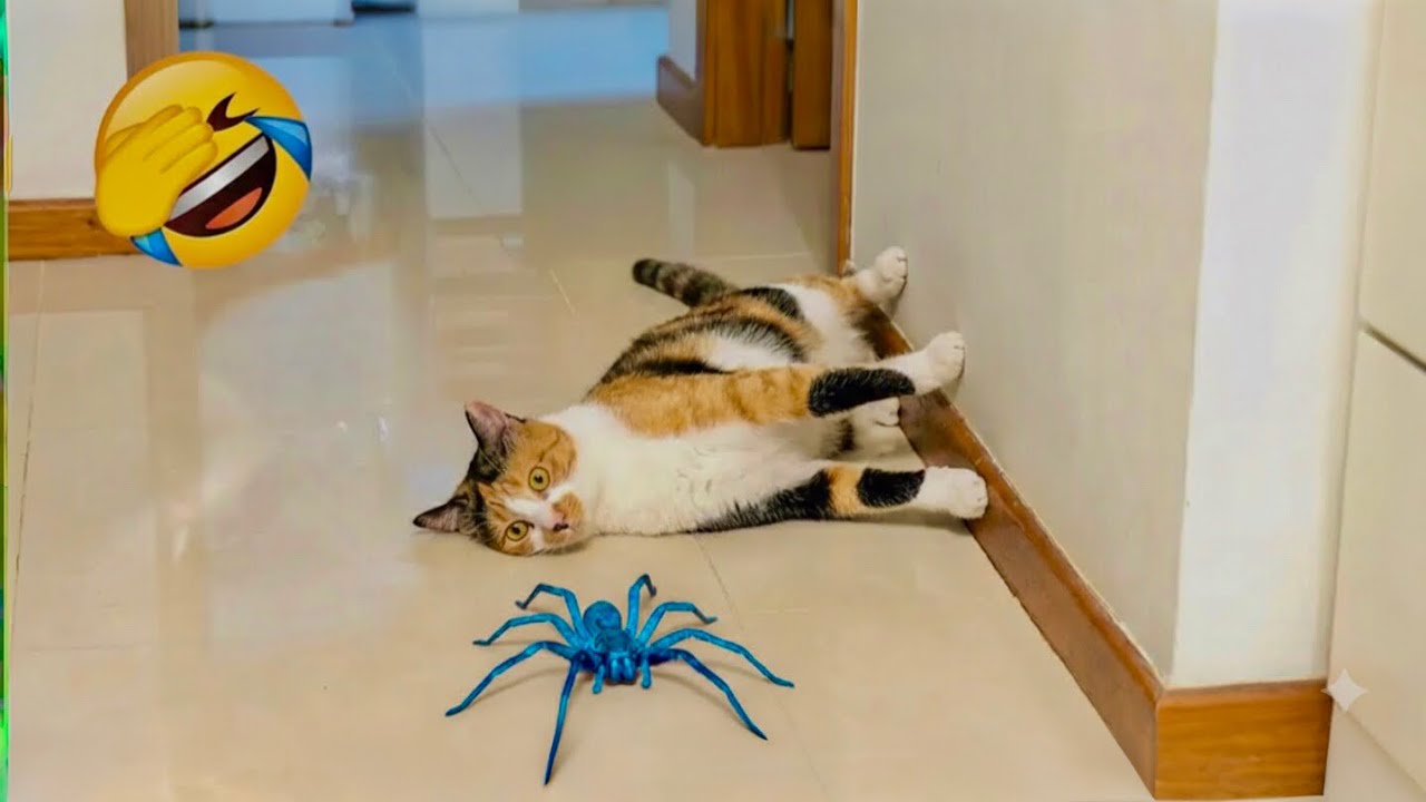You Laugh You Lose 😂 Funniest Cats and Dogs 2026 😅 Part 03   #funnycats #funnydogs #funnyanimals