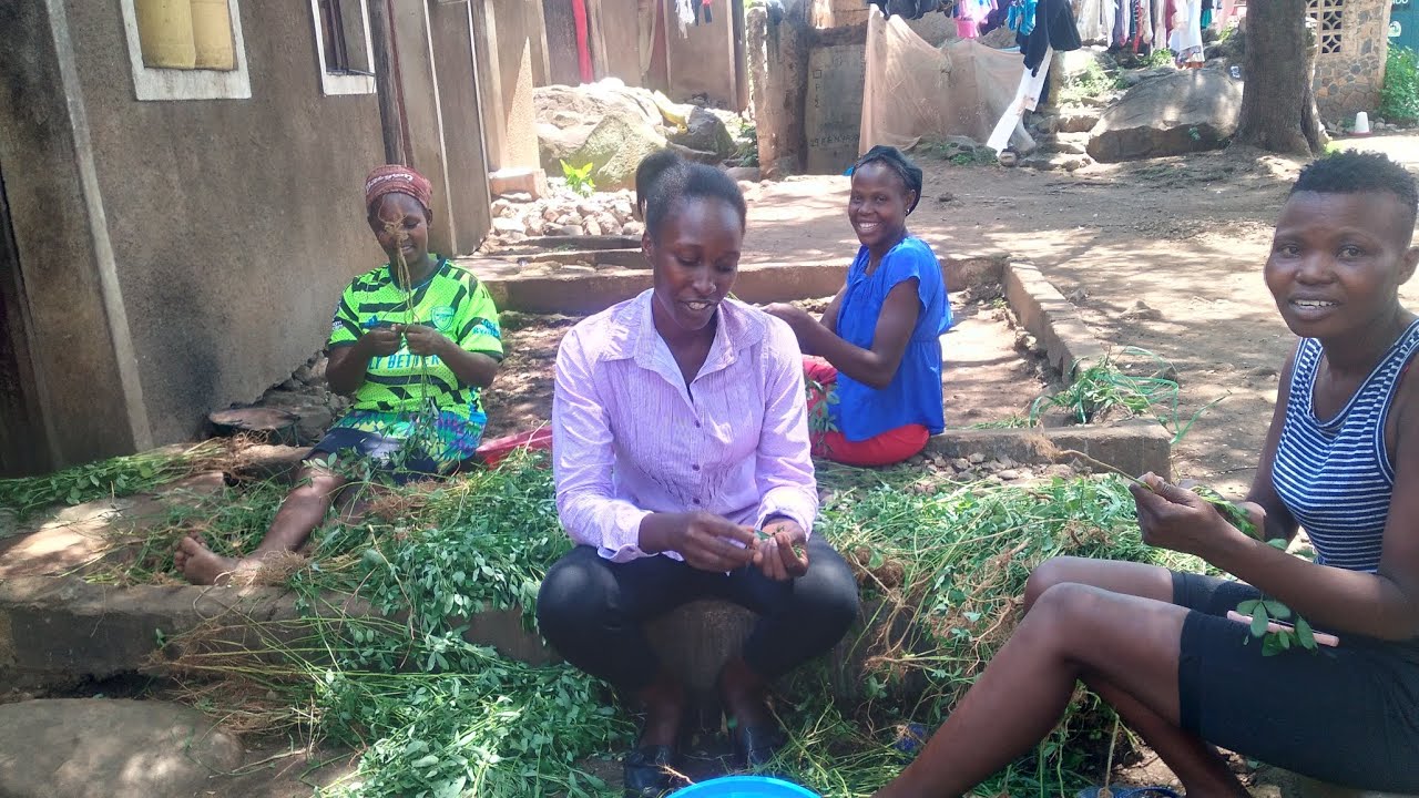 African Village Life// Housewives   Routine And preparing Traditonal vegetables For Their  Husbands