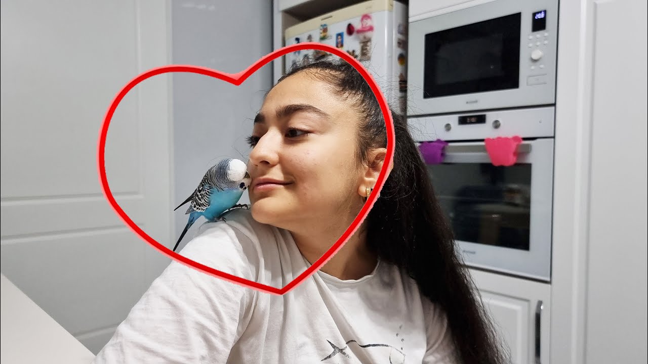 PAŞA ARTIK BU KADARDA OLMAZ