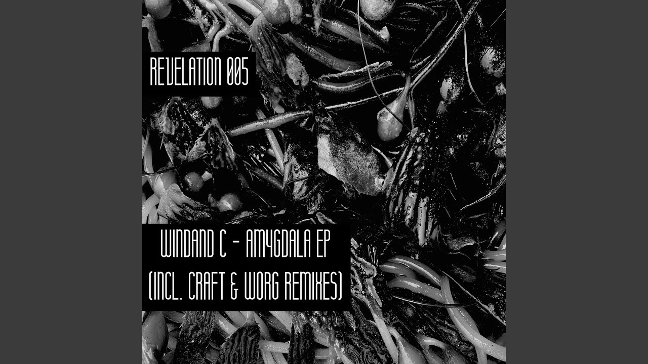 Amygdala (Original Mix)