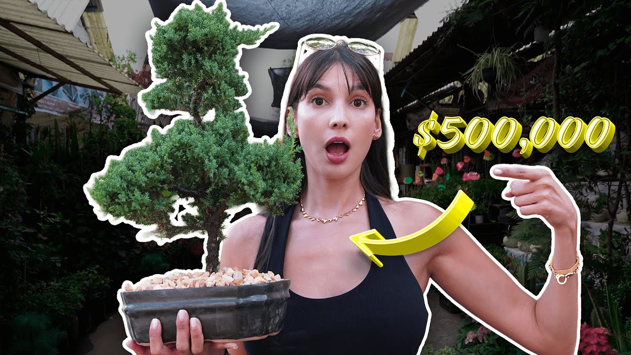 ESTA PLANTA CUESTA LO MISMO QUE UN CARRO | Mercado de Xochimilco 🌱