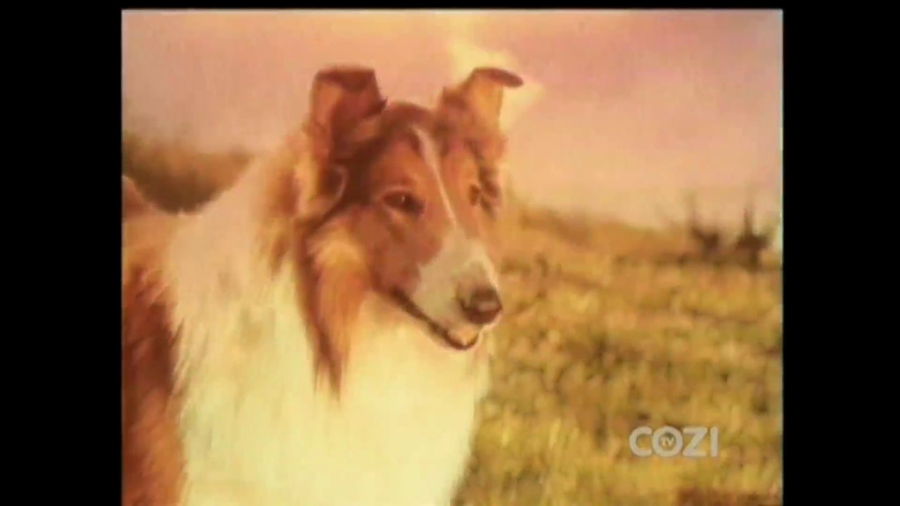 Lassie - Episode #548 - 