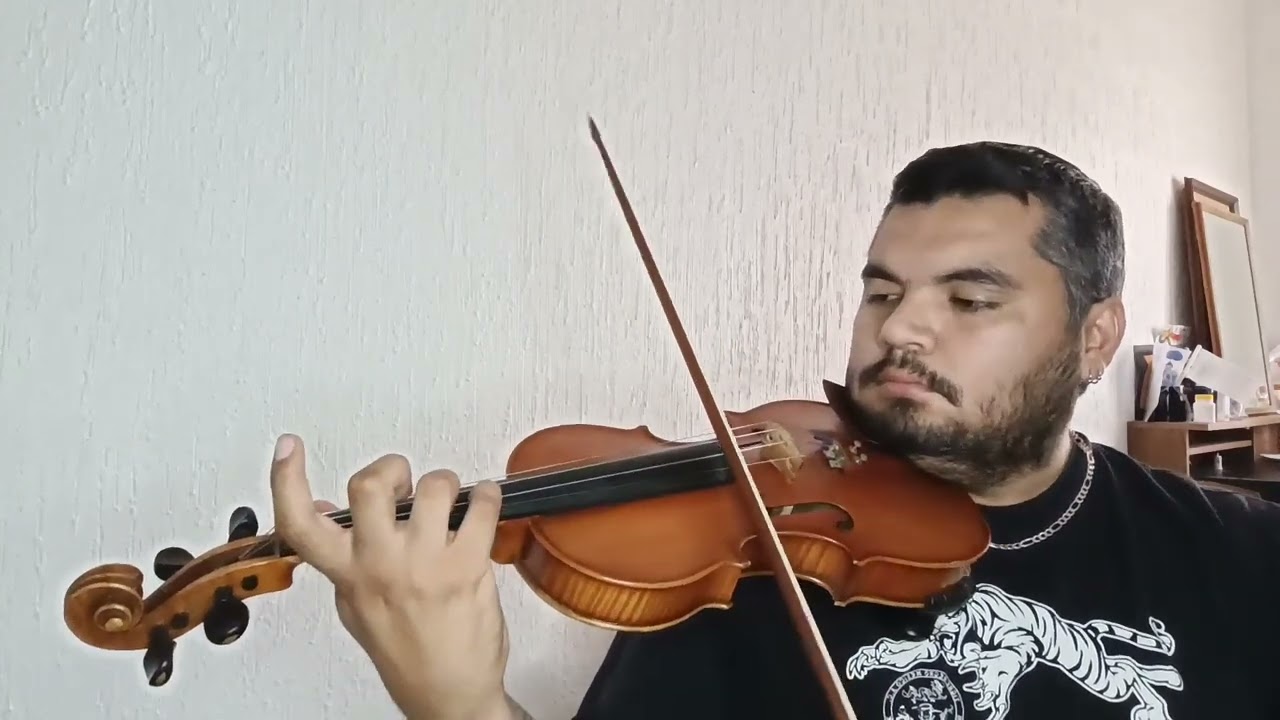 Tierra Mestiza - Violín