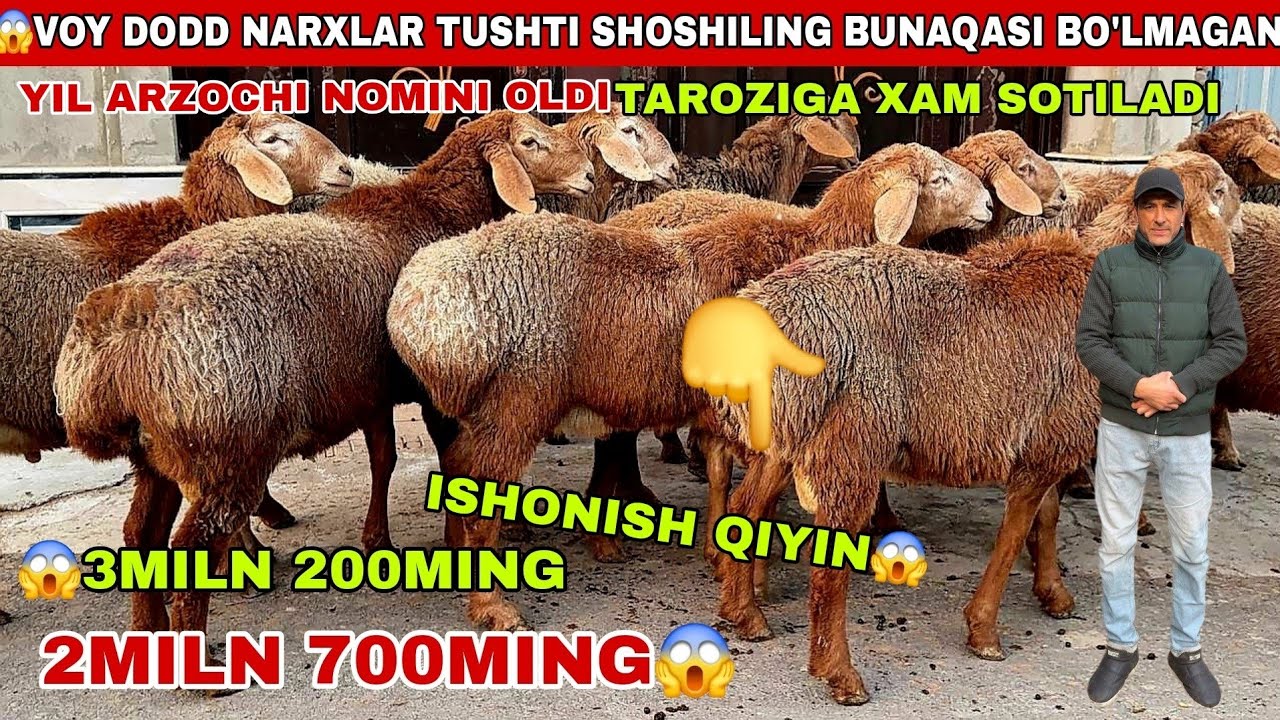 😱Voy dodd 3miln 200ming 3miln 500ming taroziga bunaqa narx tarixda bo’lmagan shoshiling 2miln 700