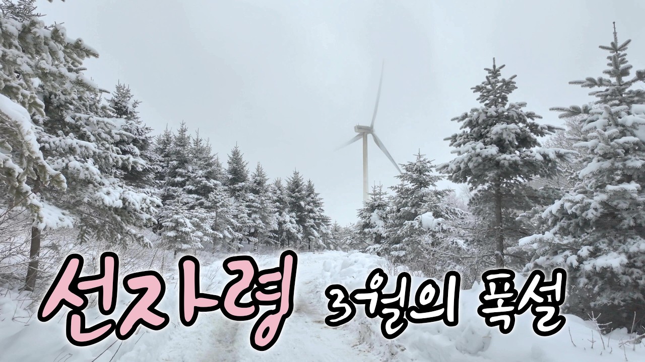 3월의 폭설 후 펼쳐진 하얀 세상 선자령