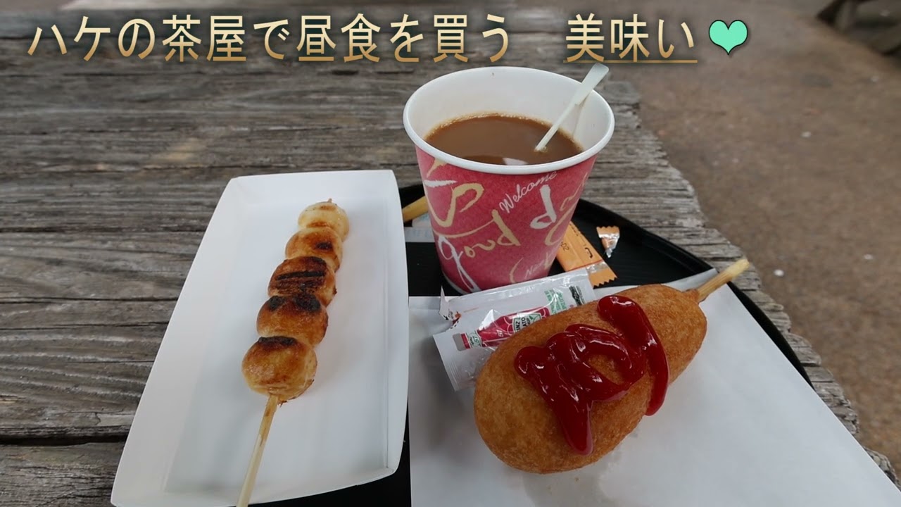 老骨の散歩　府中市郷土の森博物館　水辺で涼を楽しむ ❤　2025年7月31日（木）