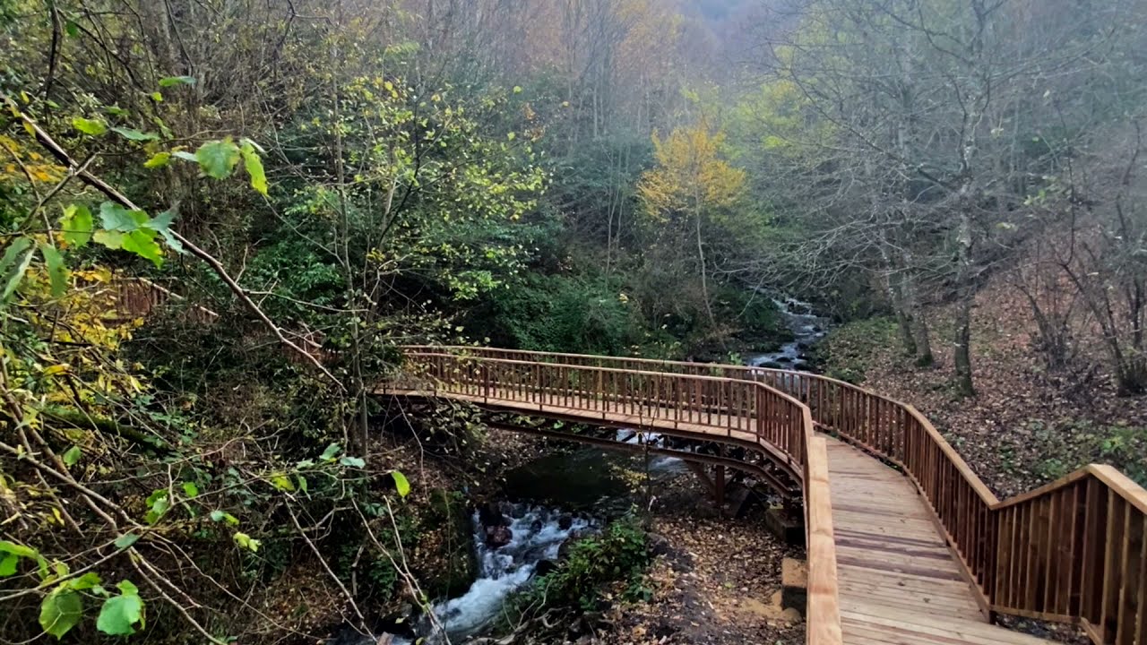 Düzce Aydınpınar Şelalesi 2