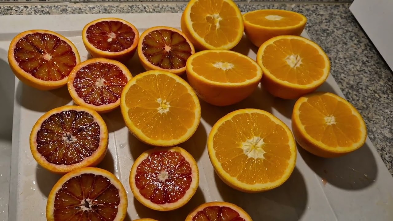 Cuộc sống Pháp/cam mà có 2 loại khác nhau nhé cả nhà mình ơi, thấy lạ nên chia sẻ cho cả nhà xem ạ 😘