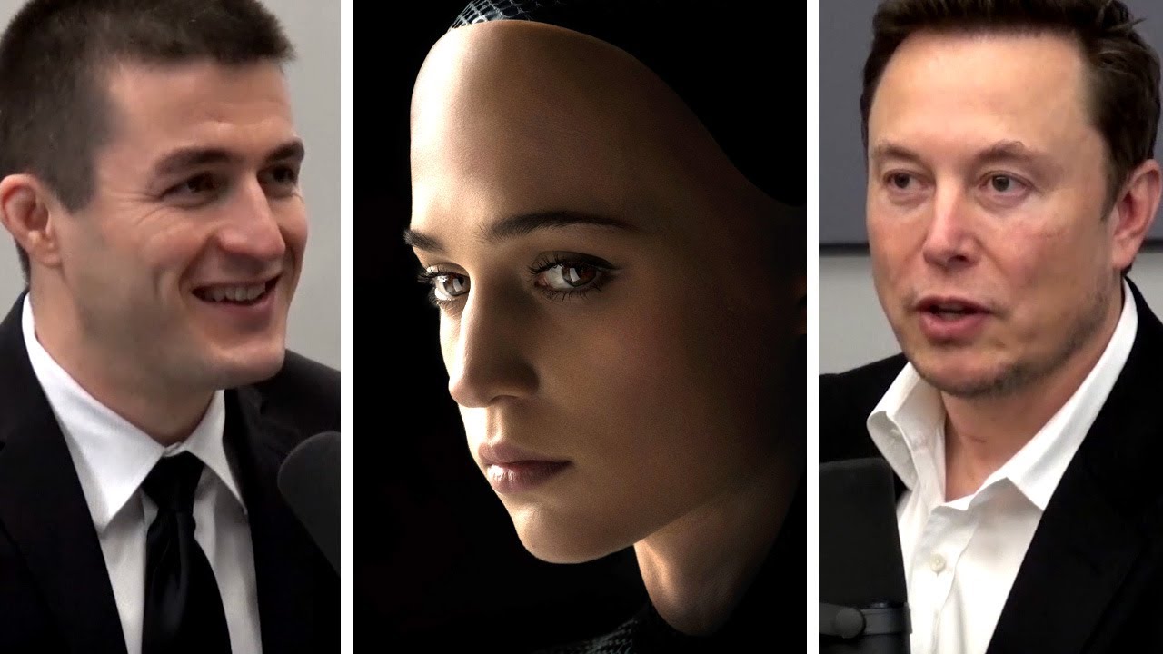 Elon Musk: Consciousness