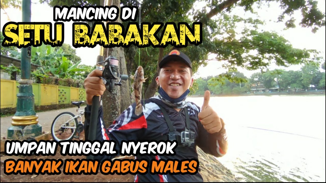 MANCING DI SETU BABAKAN ! SARANGNYA GABUS MALES