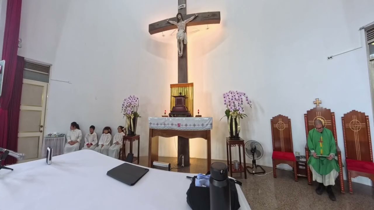 대만에 사는 신부. 住在台灣的神父。Catholic Priest In Taiwan. 花蓮教區。2026-2-1 早上 10:00 壽豐天主堂 常年期 第4主日
