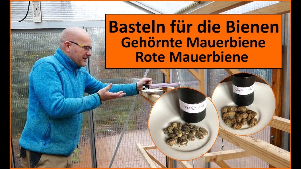 Basteln für die Bienen  - Wildbienen - Mauerbienen - Holzarbeiten