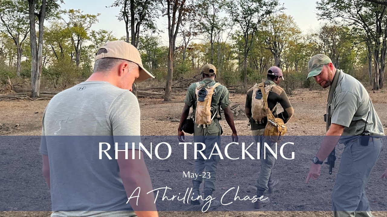 THRILLING RHINO TRACKING AT SANGO SVL: Luke Brown Zim
