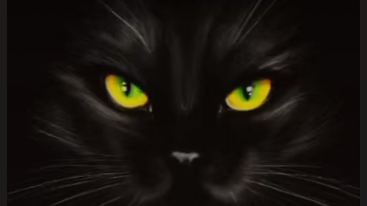 🌑ТАРО ДЛЯ МУЖЧИН🔥Твои Мистические, Магические и Прочие СПОСОБНОСТИ ‼️‼️