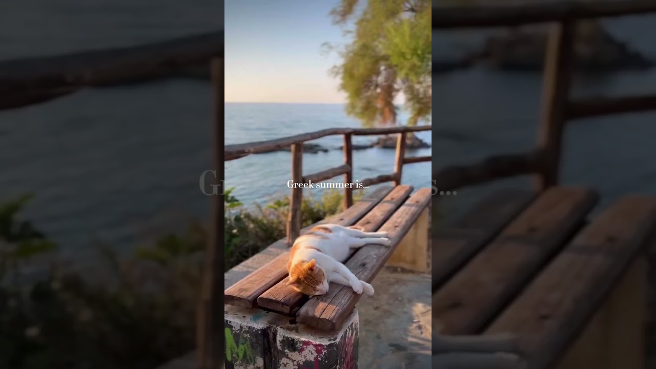 Where are you slowing down this summer?#greeksummer #islandlife #travelgreece