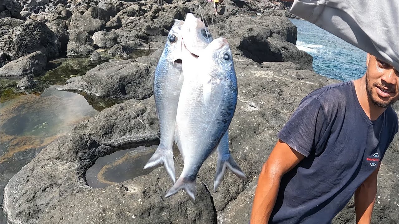 Spot dans l’ouest.. Très peu poissonneux, mais quelques poissons pêchés.. Zareng blanc, Domingue,…