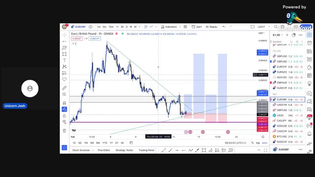 FOREX LIGHT episode 13