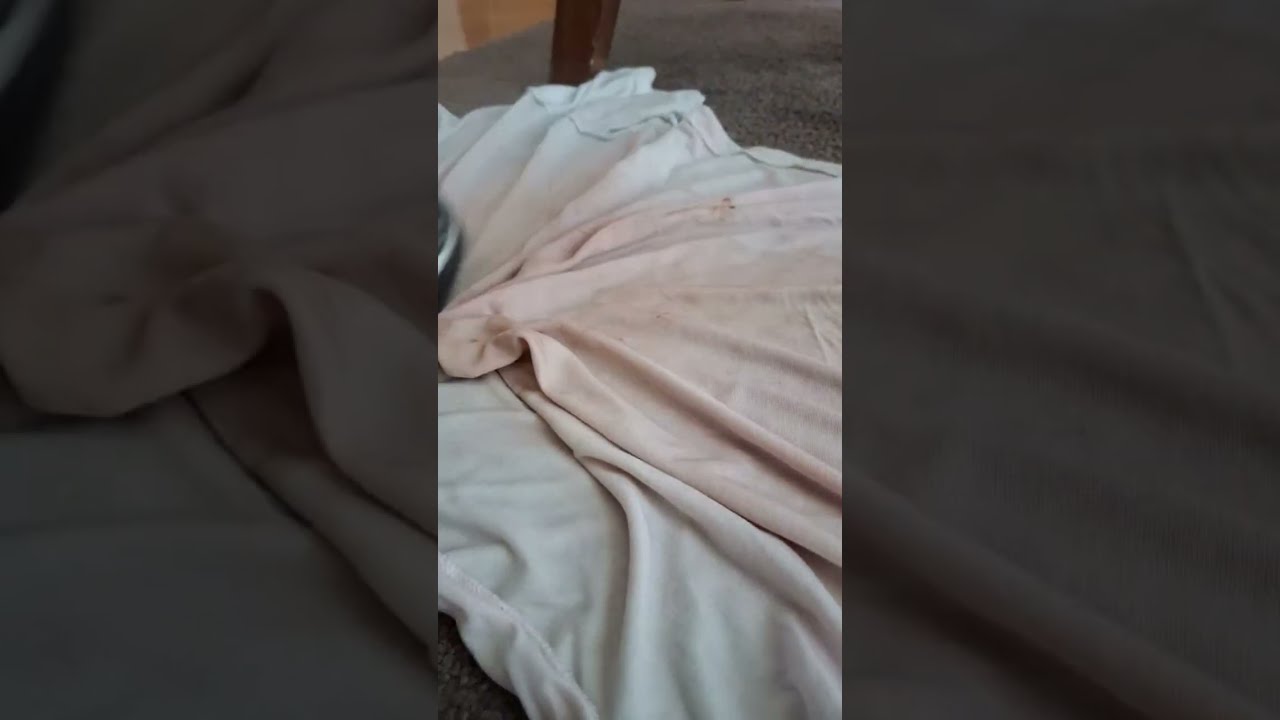 Removing Grape juice, wine stain in the carpet