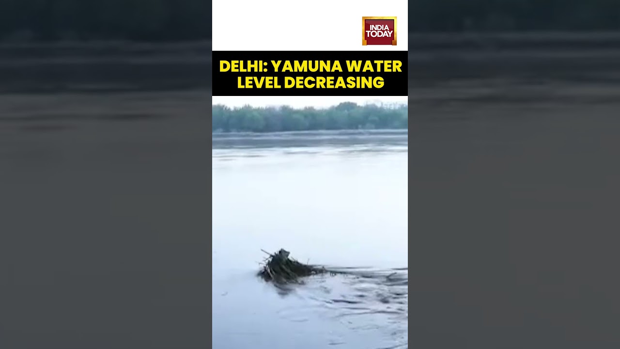 Delhi Flood Update: Yamuna Water Level Decreasing | Relief for Residents