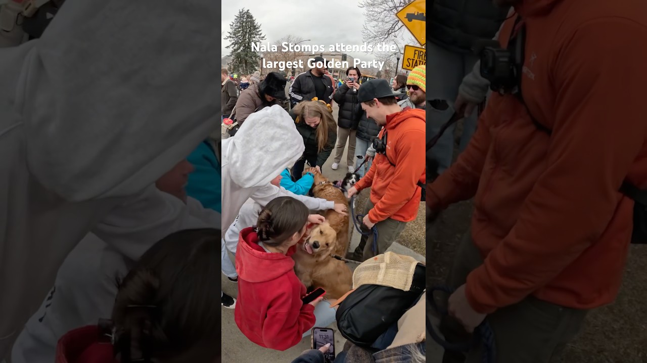 My dog meeting all of her friends at Goldens in Golden, CO