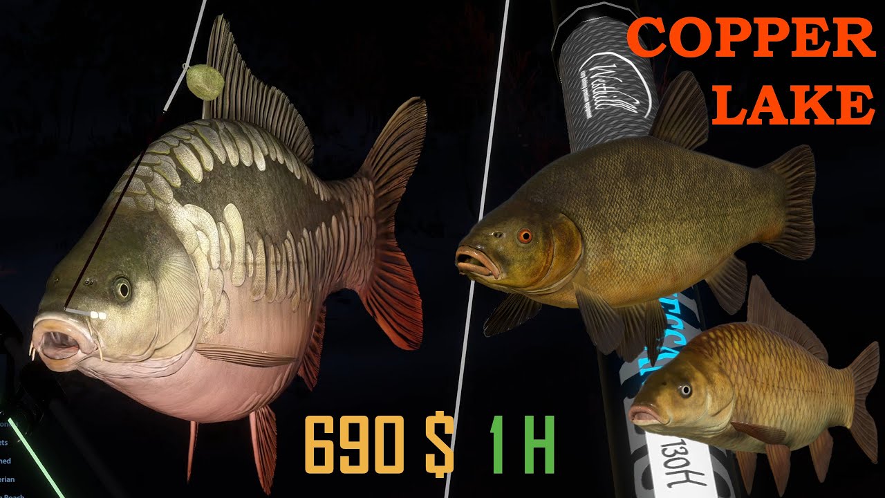 Dinks Carp F1 Kvolsdorfsky spot Copper Lake 3 active config | Russian Fishing 4 #57