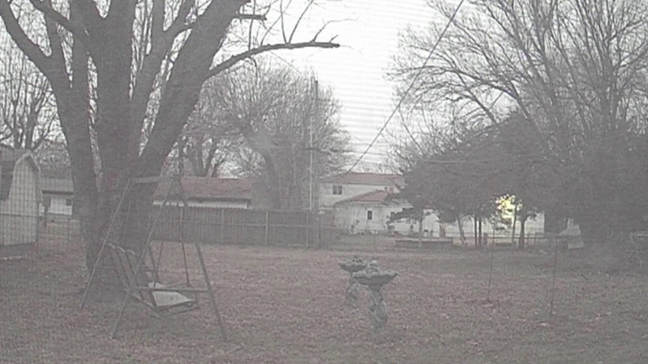 Grandma-Z Backyard CCTV Camera Stream (3/3/2026, Stream 2)