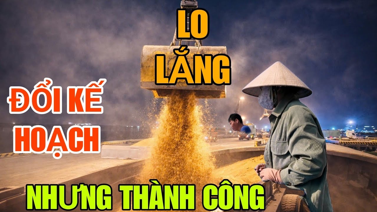 Cảng Đông, Sà Lan Ngân Phải Đổi Phương Án Nhận Hàng ,Từ Băng Tải Tới Cần Cẩu, Hồi Hộp Từng Chút Một.