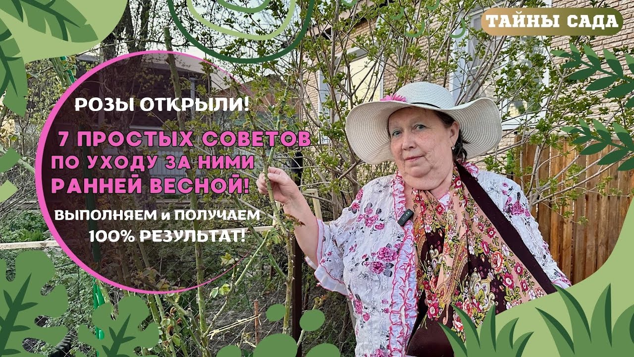 РОЗЫ ОТКРЫЛИ! ЧТО ДЕЛАТЬ ДАЛЬШЕ? 7 ПРОСТЫХ СОВЕТОВ ОТ МАМЫ ТАТЬЯНЫ ПО УХОДУ ЗА НИМИ РАННЕЙ ВЕСНОЙ!