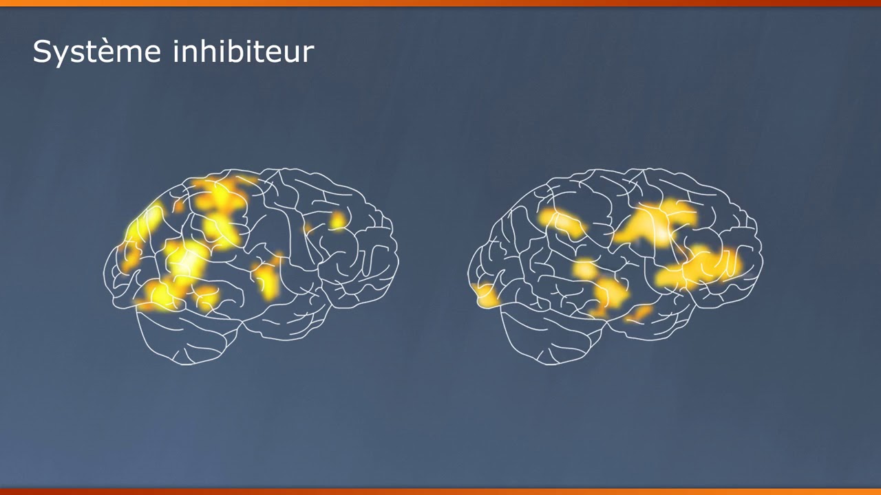 CA42 stratégies cognitives et métacognitives : peut-on les enseigner?