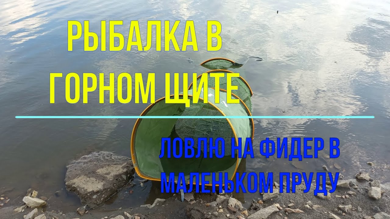 Рыбалка в Горном Щите. Ловлю на фидер в небольшом пруду.