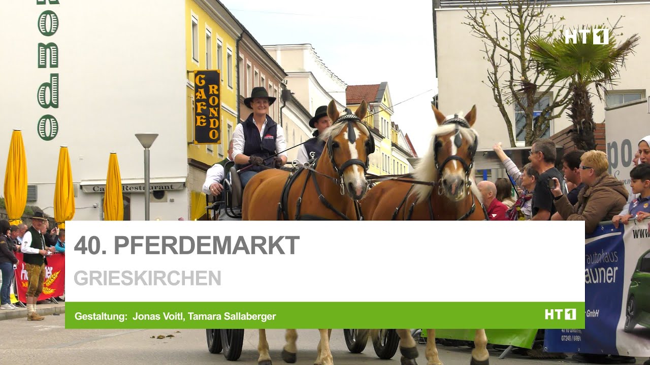Pferdefieber in Grieskirchen!