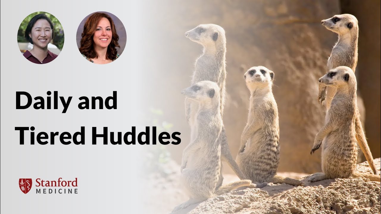 Daily and Tiered Huddles
