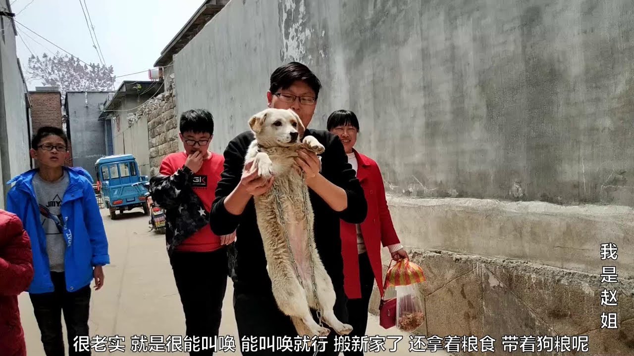 舅媽相中婆婆家的狗狗，想抱回家養，兒媳得知後萬般不捨傷心流淚【我是趙姐】