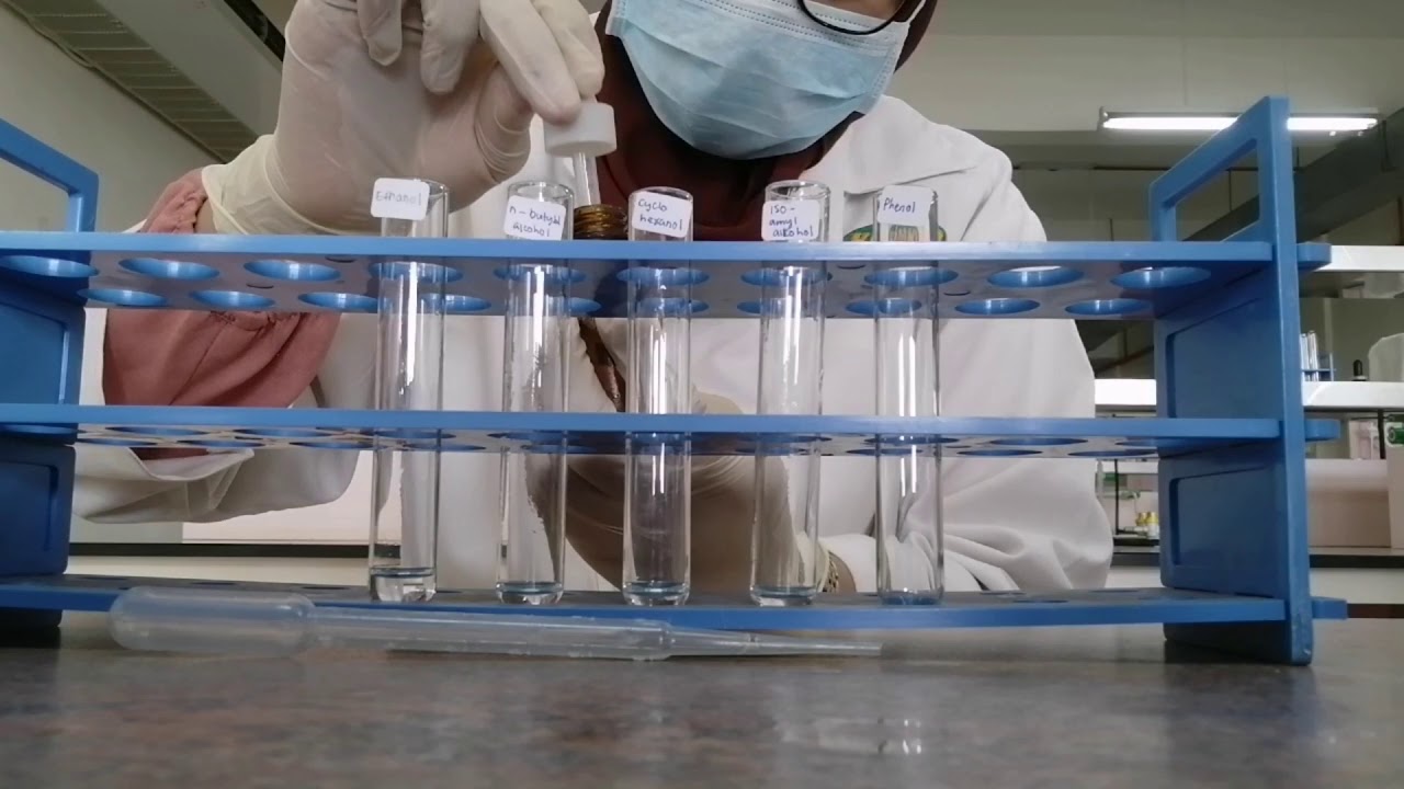 Organic Chemistry Experiment: Solubility of Alcohol and Phenol