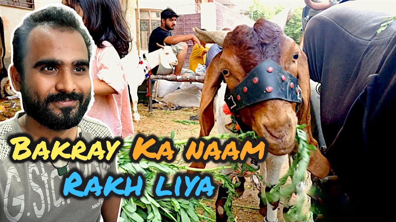 Bakray ka naam rakh liya | bakra eid Vlog | Wahaj ahmed Vlog