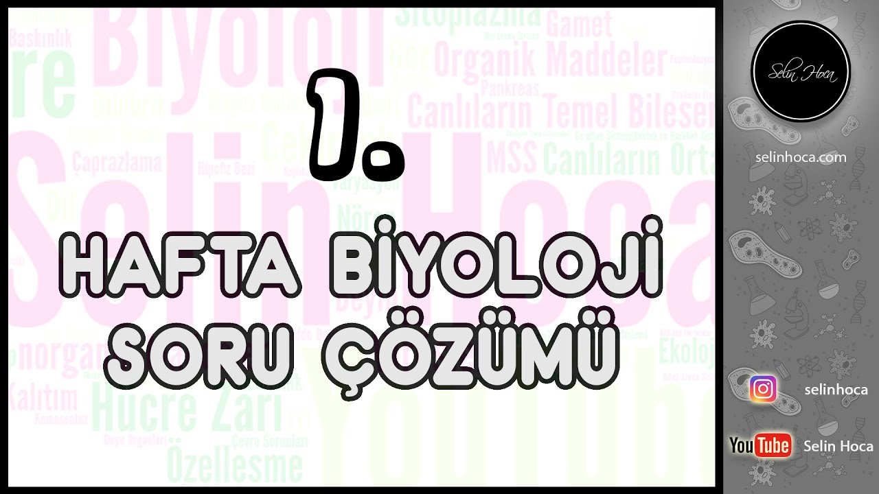 1. Hafta Biyoloji Soru Çözümü
