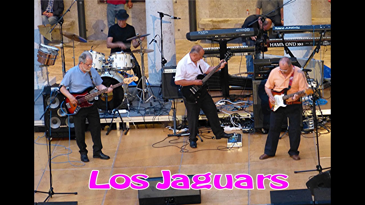 Los Jaguars 2013 (Universidad de Valencia)