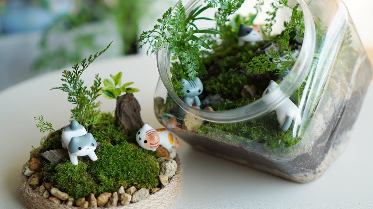 테이블위의 작은정원 I 고양이가 있는 테라리움 I 플라스틱 재활용 😺 The cats in the terrarium & Plastic Recycling😾