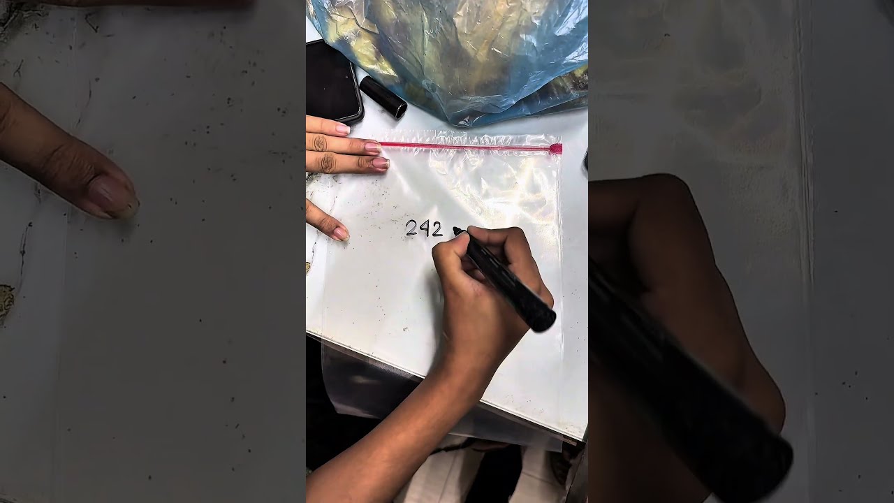 🔬 𝐏𝐫𝐞𝐩𝐚𝐫𝐚𝐭𝐢𝐨𝐧 𝐨𝐟 𝐃𝐫𝐢𝐞𝐝 𝐕𝐞𝐠𝐞𝐭𝐚𝐛𝐥𝐞𝐬 (𝐏𝐨𝐭𝐚𝐭𝐨𝐞𝐬 & 𝐎𝐤𝐫𝐚) 