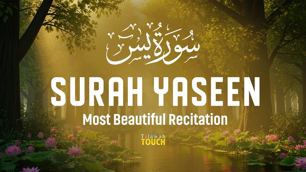 Surah Yaseen سورة يس | Emotional & Heart-Touching Quran Recitation | Tilawah Touch #surahyasin