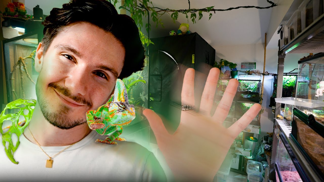 Un CHAPITRE se ferme. (Reptile X Plant Tour)