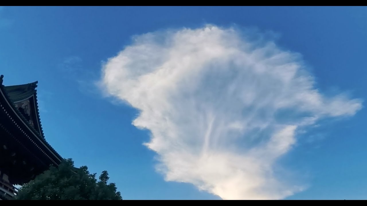 Nunchi - Isa*Belle + Paradise Now  [Caressing the Clouds videos]