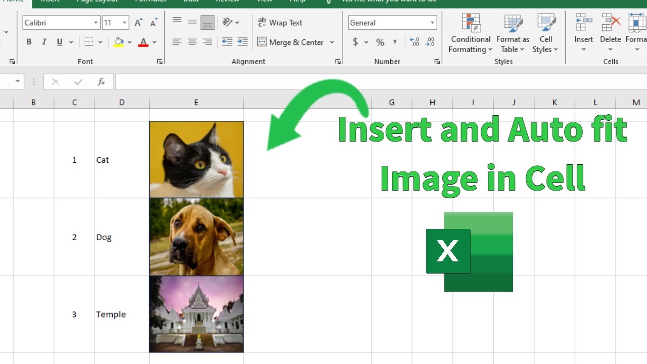 How to Insert images in excel cell