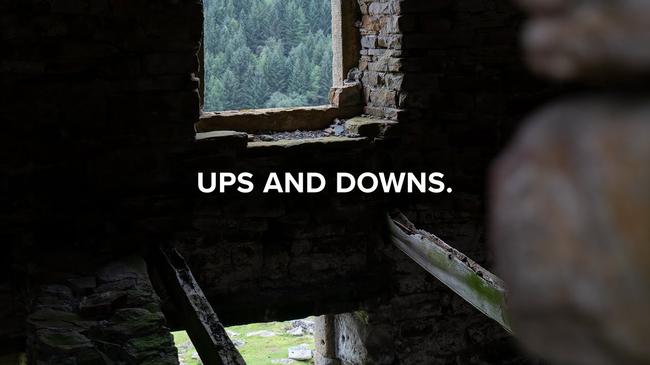 Ups and Downs 2020