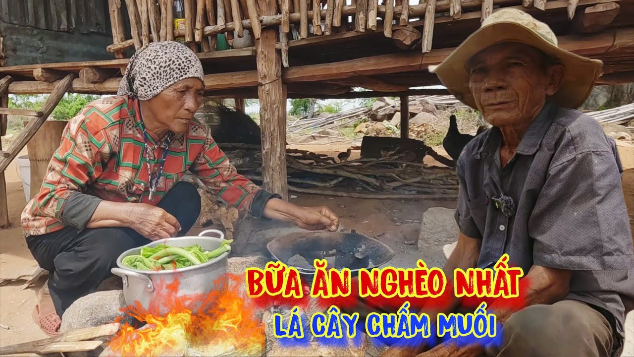 VỢ CHỒNG già lủi thủi sống ở trong rừng nơi HẺO LÁNH - tập 1408