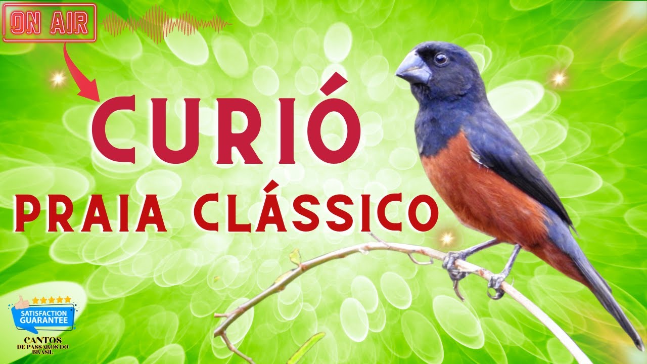 Praia clássico intervalos de trinta segundos!