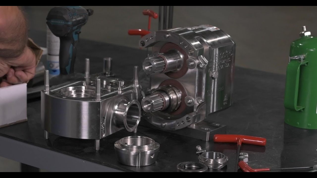 Replacing Double Mechanical Seal for PD450 (300-575 Series)