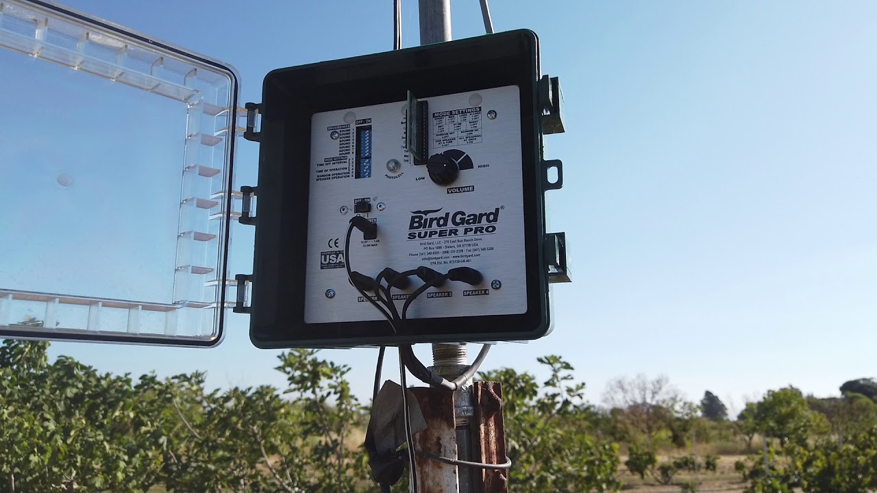 Bird Gard - Bird deterrent to limit bird damage to our fig crop