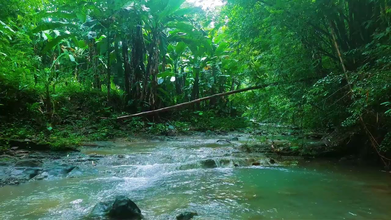 Calming River Sounds for Sleep | Natural Flowing Water, No Music 🌿🌊