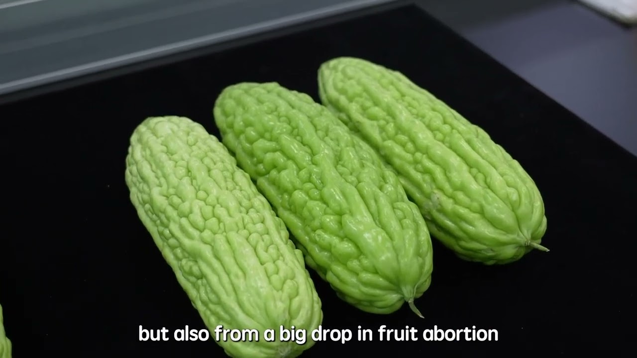 Homeostatic Systemins on Vegetable Crops: Bitter Melon - Highlights